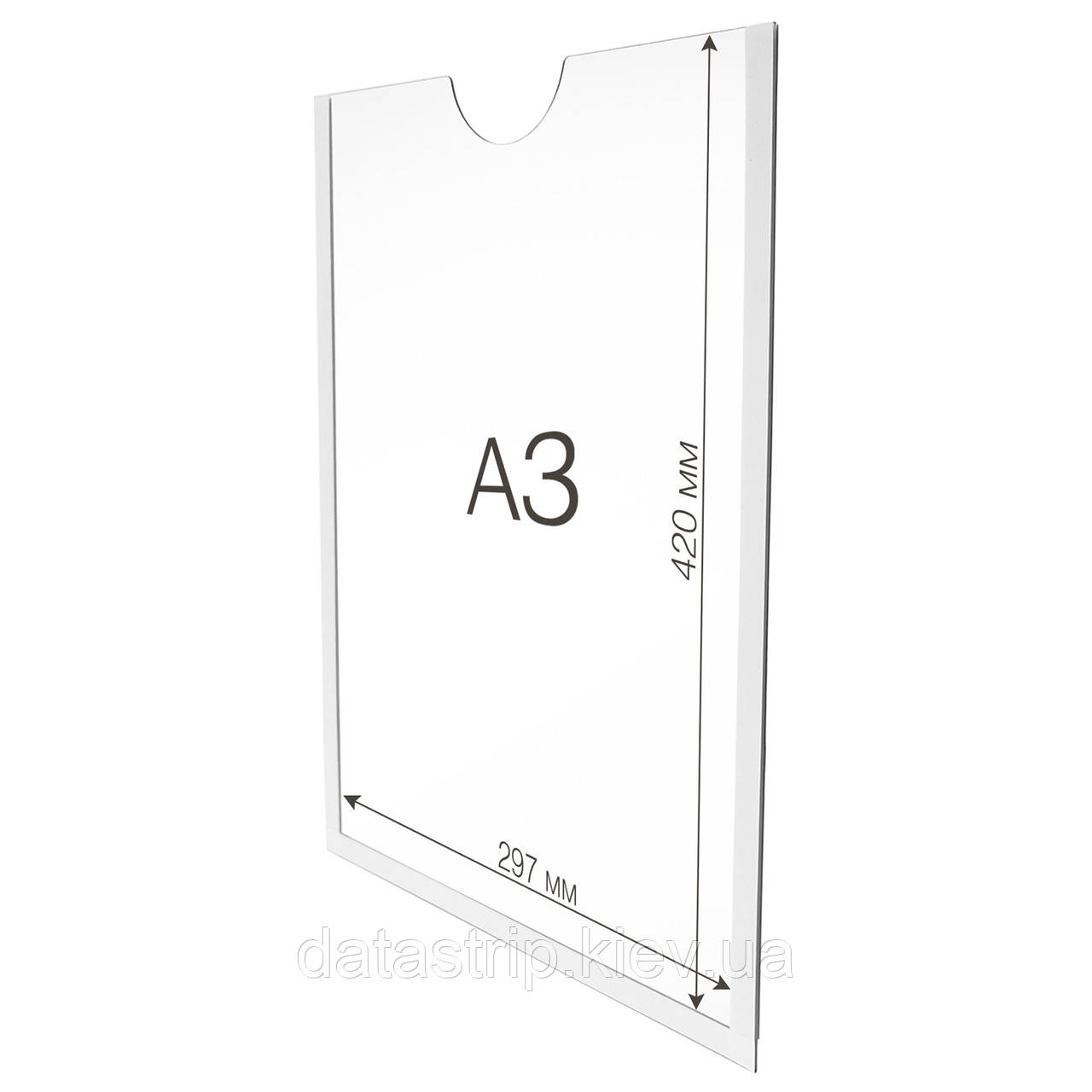 Кишеня плоска для одного аркуша формату А3 вертикальна настінна акрилова 297х420мм, фото 1