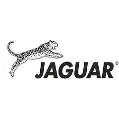 Гребінці Jaguar