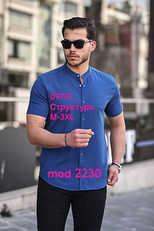 Стрейчева сорочка Sarino з коротким рукавом (стійка, структура) mod.2230, фото 1