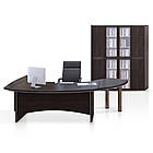 Кабінет керівника Альянс 21/02 Salita