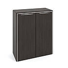 Офісна шафа з обрамленням Альянс 21/137