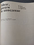 "Мозг, разум и поведение» Блум Ф., Лейзерсон А., Хофстедтер Л. 1988 г., фото 5