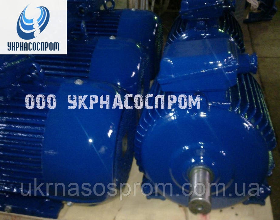 Електродвигун 4АМ 250 M8 45 кВт 750 об/хв