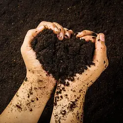 Ґрунт, торф та ґрунтосуміші