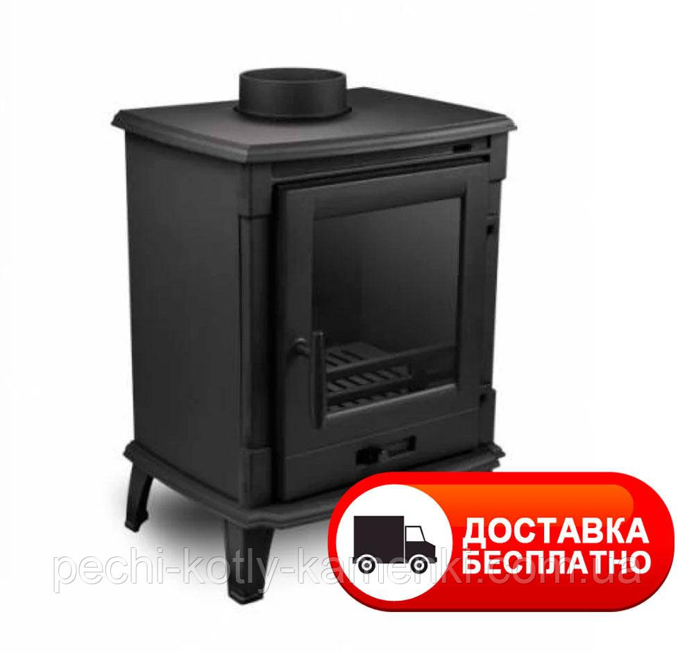 Чавунна піч камін Nordflam Erino для дома