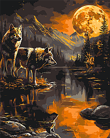Картина за номерами Тварини. Пара вовків вночі. З фарбами металік 40*50 см Орігамі LW 30780