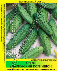 Насіння огірка Паризький корнішон 5 кг (мішок)