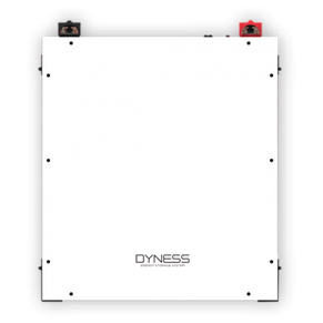 Акумуляторна батарея Dyness DL5.0C LiFePo4 51,2V 100A, фото 3