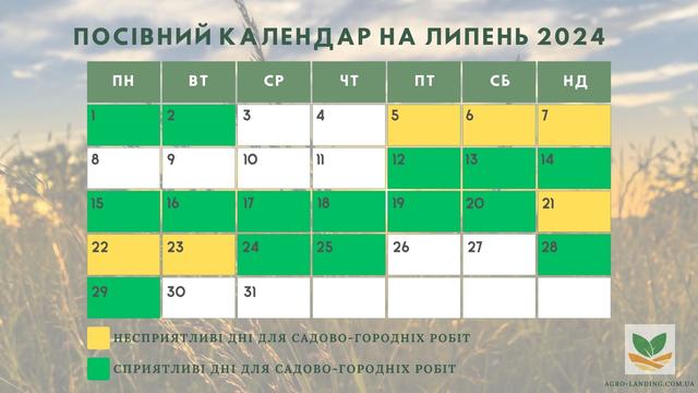 Посівний календар на липень 2024