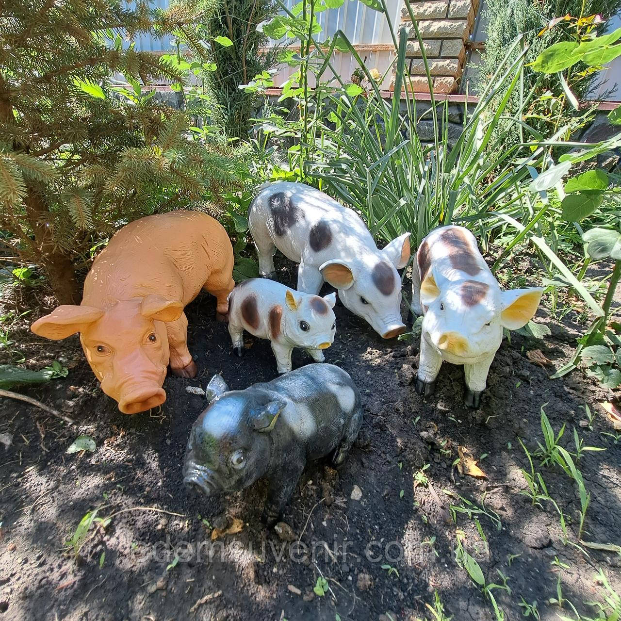 Садова фігура Свинка в'єтнамська сидяча, свинка в'єтнамська, свинка плямиста, кабанчик плямистий та кабанчик середній