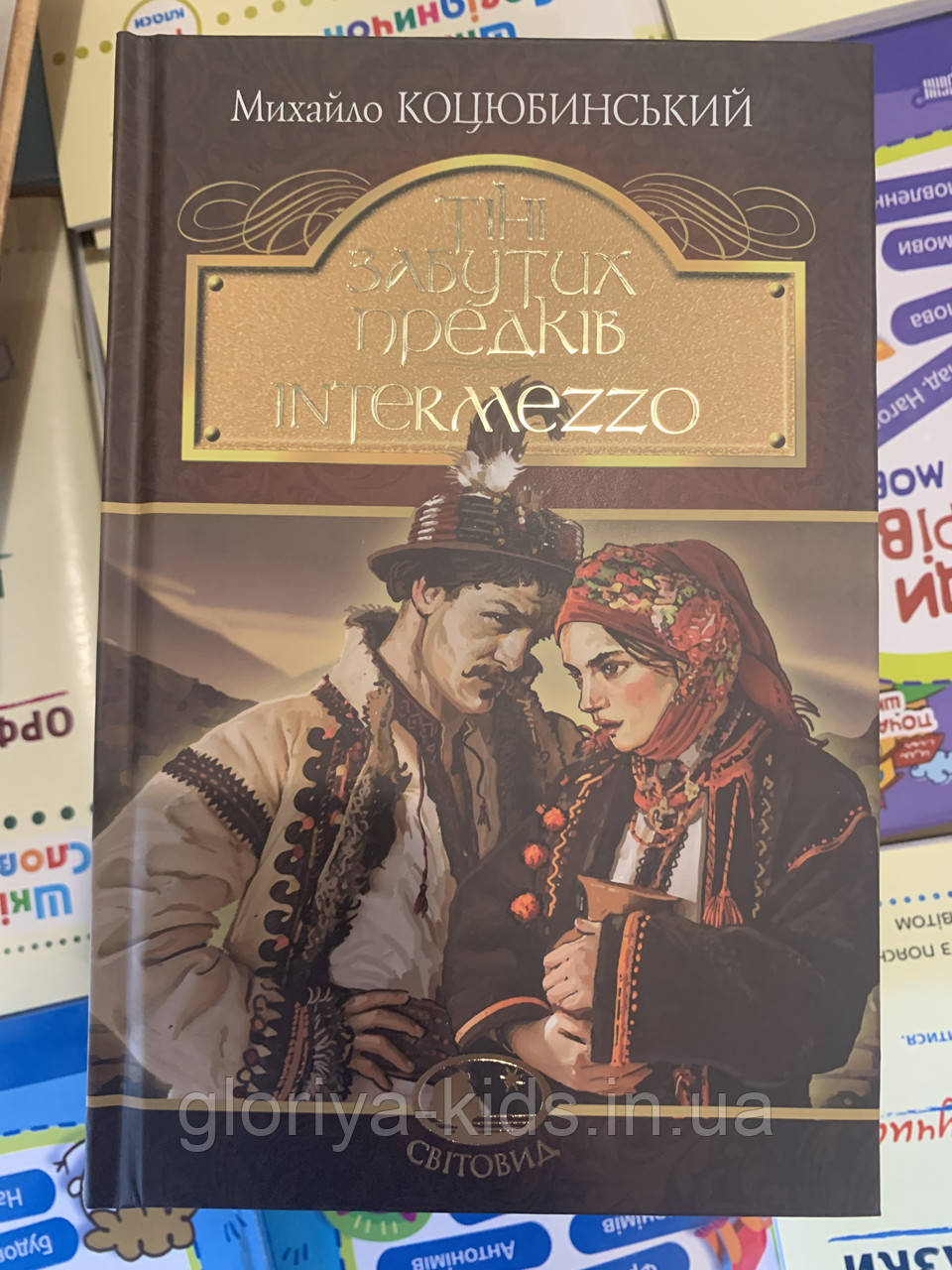 Книга Тіні забутих предків