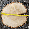 Зріз дерева для декору та інтер'єру, не оброблений d 420х420мм., фото 6