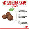Royal Canin Medium Puppy для цуценят середніх порід віком з 2 до 12 місяців,1кг, фото 5