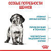 Royal Canin Medium Puppy для цуценят середніх порід віком з 2 до 12 місяців,1кг, фото 6