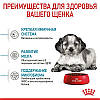 Royal Canin Medium Puppy для цуценят середніх порід віком з 2 до 12 місяців,1кг, фото 7