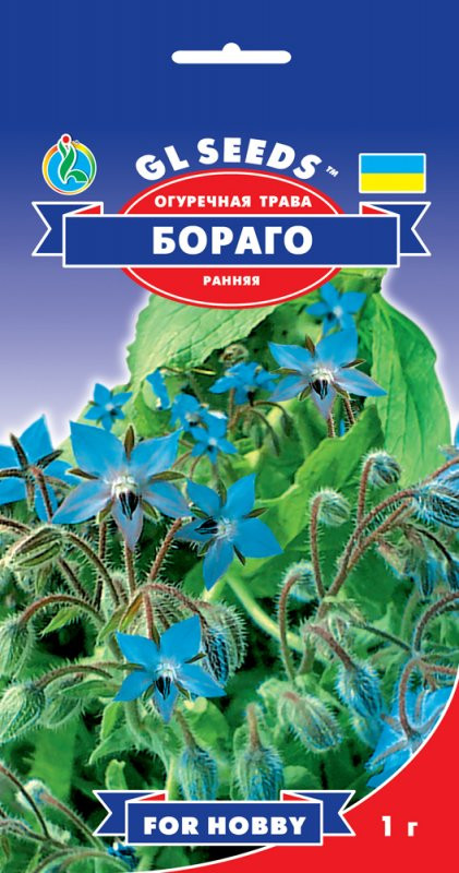 Насіння Огіркова Трава Бораго (1г) ТМ GL SEEDS For Hobby