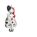 Пакениця Кішка з косою., фото 5