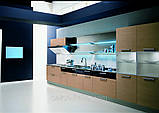 Кухня Aster Cucine Mod. Trendy Space, фото 4