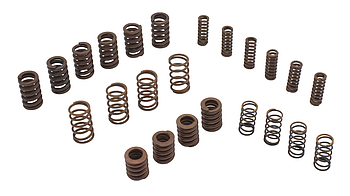 Комплект пружин демпфера зчеплення PowerShift DCT450 (MPS6) 07-up 121800