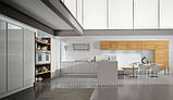 Кухня Aster Cucine Mod. Contempora, фото 2