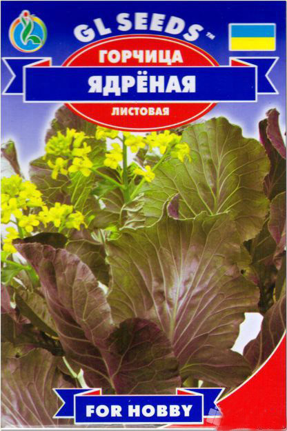 Насіння Гірчиця листова Міцна (1г) ТМ GL SEEDS For Hobby, фото 1