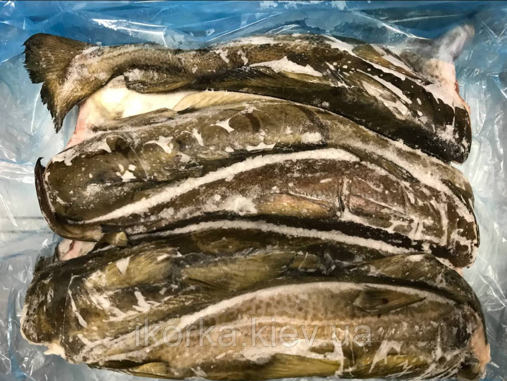 Тріска без голови патранна 4 кг+ (заморожена)