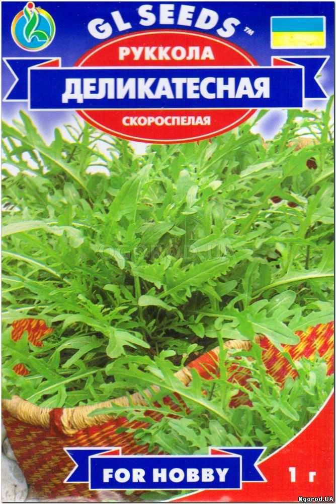 Насіння Рукола Делікатесна ТМ GL SEEDS, фото 1