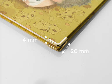 Куточок для папок меню. Колір "золото". 20х4мм