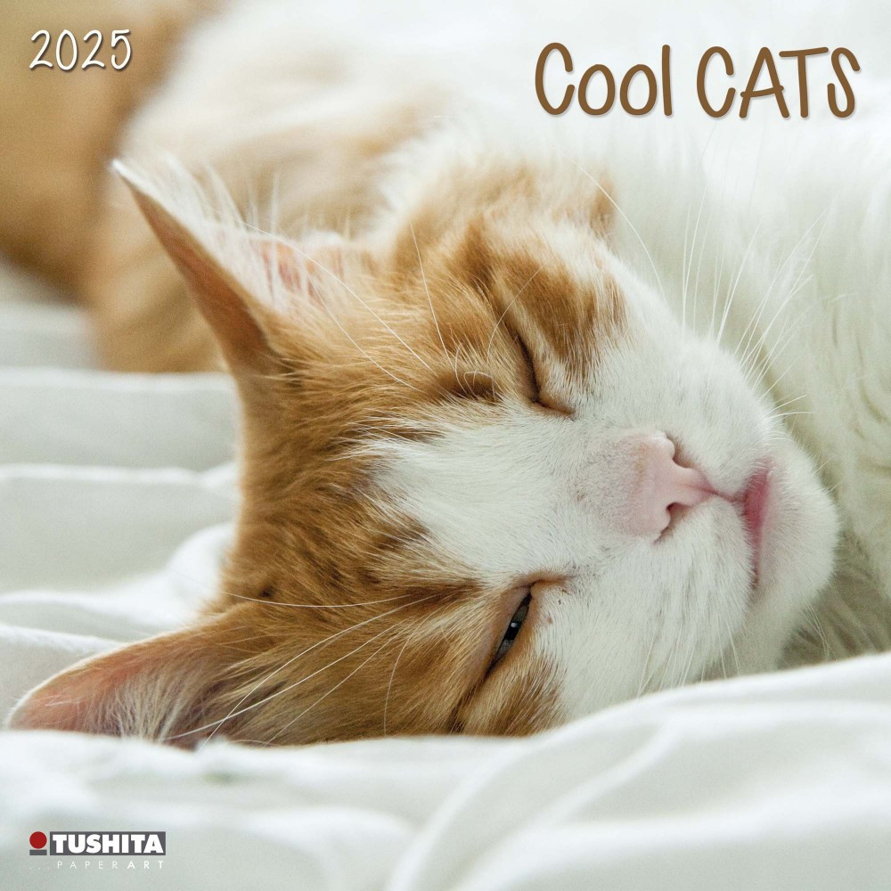 Настінний календар 2025 рік. Cool Cats 2025, фото 1