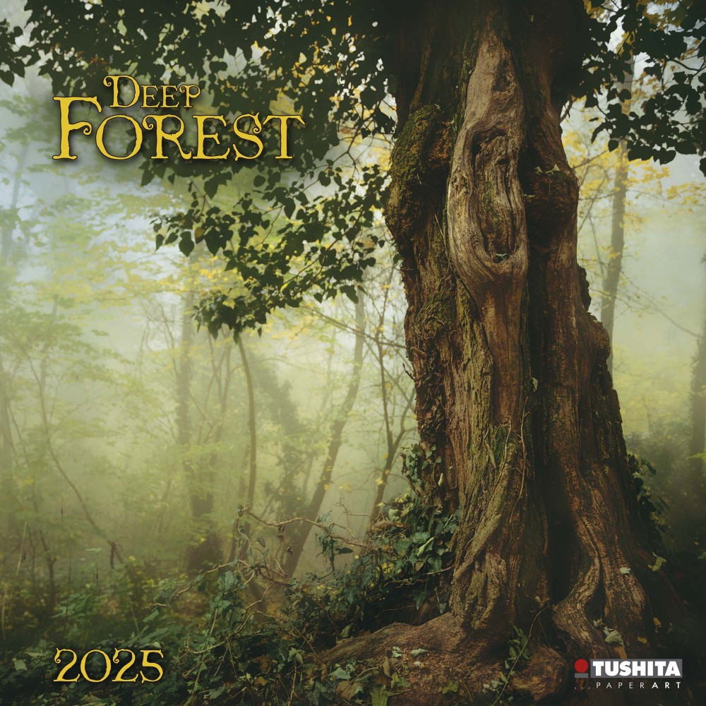 Настінний календар 2025 рік. Deep Forest 2025