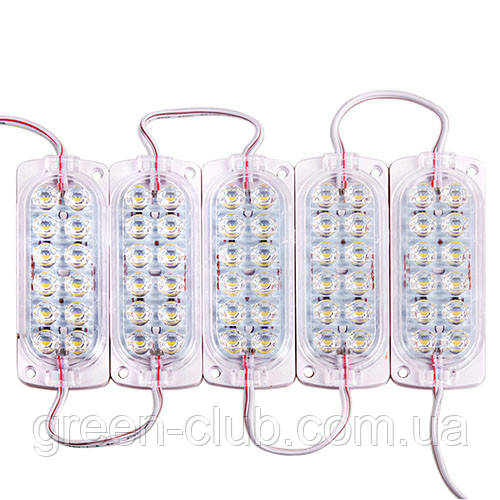 Стрічка Модуль 2835 White (12 led 12 V) 51371 (AG-MZ-2835-12-12 W)