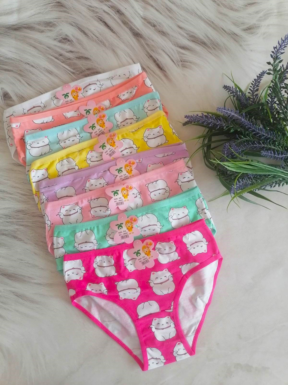 Дитячі бавовняні трусики для дівчинки з 6 до 16 років 8 кольорів, фото 1