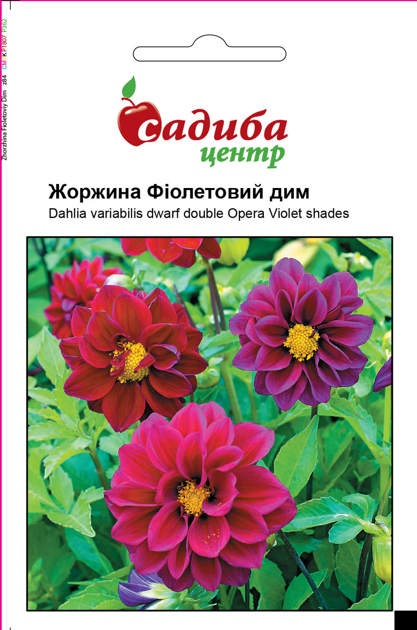 Насіння Жоржина Фіолетовий Дим (0,1 г) ТМ Садиба Центр