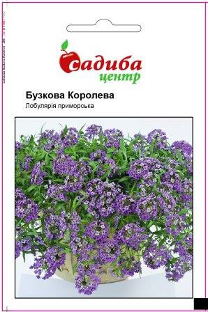 Насіння Лобулярія приморська Бузкова Королева (0,1 г) ТМ Садиба Центр