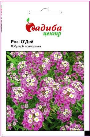 Насіння Лобулярія приморська Розі О'Дей (0,1 г) ТМ Садиба Центр