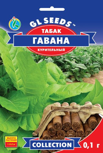 Насіння Тютюн для куріння Кубинський Гавана (0,1 г) ТМ GL SEEDS Collection