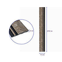 Декоративна PS рейка 2900*116*12мм (D) SW-00002138, фото 3