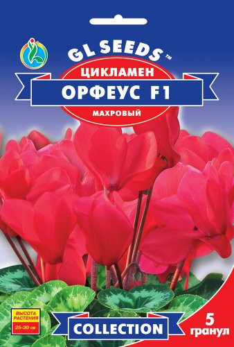 Насіння Цикламен F1 Орфеус 5шт collection, фото 1