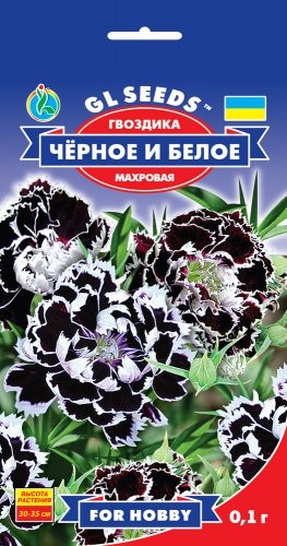 Насіння Гвоздика Чорне і Біле (0,1 г) ТМ GL SEEDS For Hobby