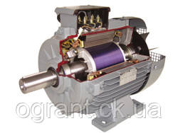 Трехфазный электродвигатель 0,12кВт-1500 об/мин AGM 63 4a Gamak - фото 3 - id-p460248694