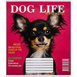 Зошит шкільний 12 аркушів КЛІТИНКА «Мрії збуваються» / 3546, фото 2