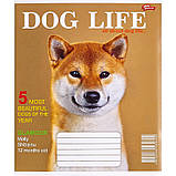 Зошит шкільний 12 аркушів КЛІТИНКА «Мрії збуваються» / 3546, фото 3