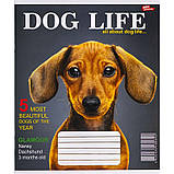 Зошит шкільний 12 аркушів КЛІТИНКА «Мрії збуваються» / 3546, фото 5