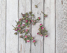 Бутони троянди міні. 50 шт