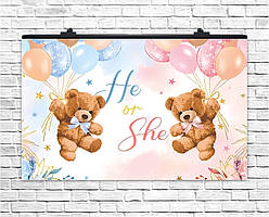 Плакат для свята He or She ведмедики 75х120 см