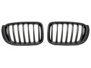 Решітка радіатора BMW (БМВ) X3 series (F25) 2010-2014 - Глянець