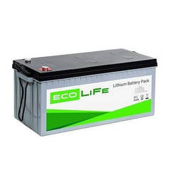 Акумулятор LiFePO4 24в-100ач EcoLiFe 24-100 - для гібридного інвертора, автономного інвертора