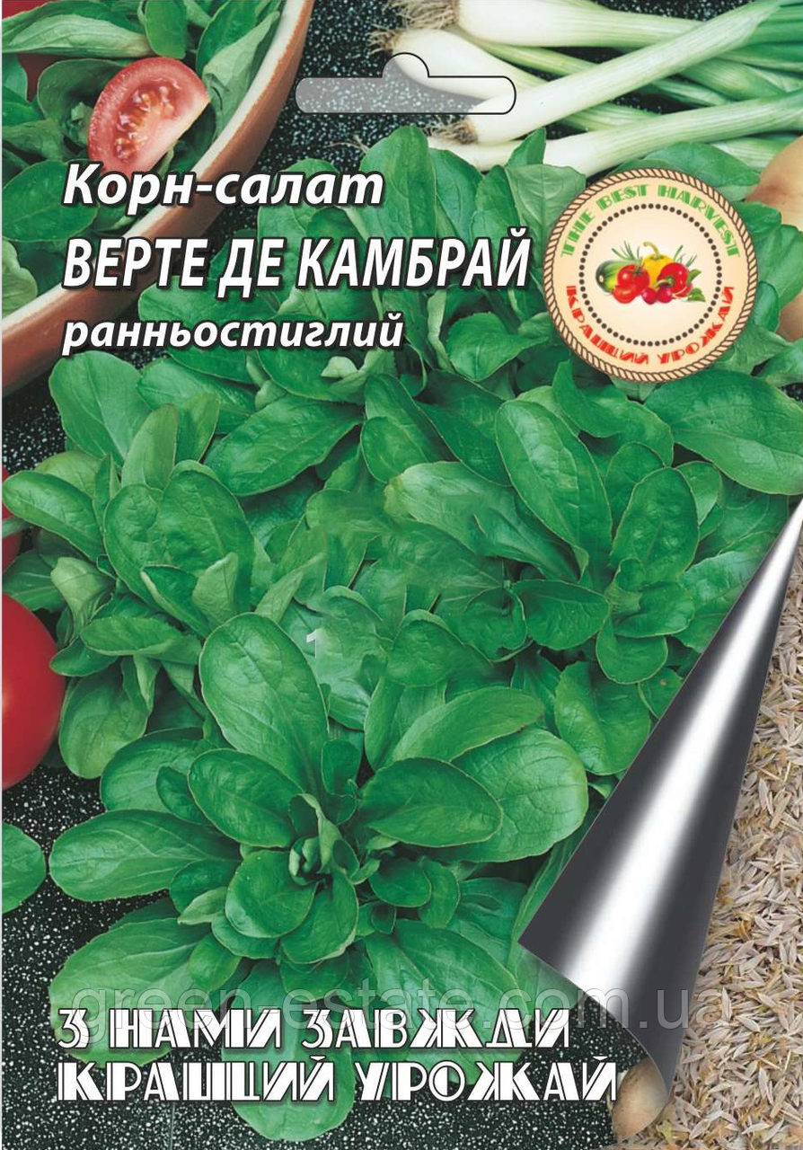 Корн-салат Верте де Камбрай 1 г.