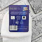 Шкарпетки чоловічі короткі літо сітка р.27-29 білі СТИЛЬ ЛЮКС 30038888, фото 5