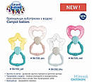 Брязкальце-гризунок з водою для зубів Чарівна паличка 56/152 pin Canpol babies (Канпол бебис), фото 3